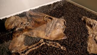 Mummies Mummies