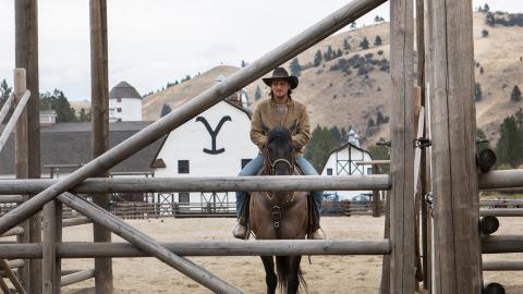 The Reek of Desperation