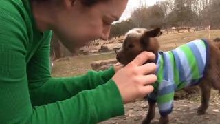On the Farm On the Farm