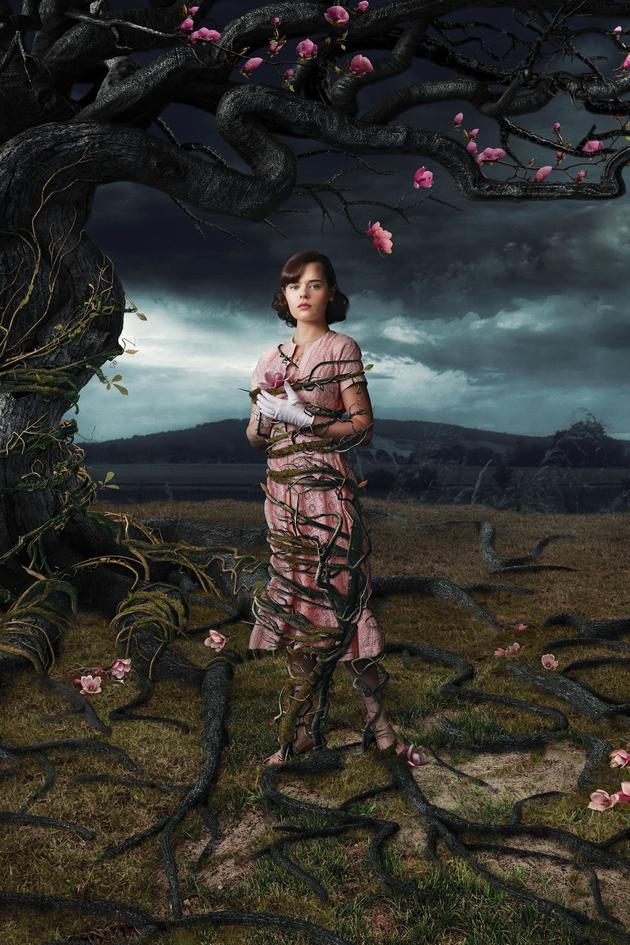 V.C. Andrews' Web of Dreams