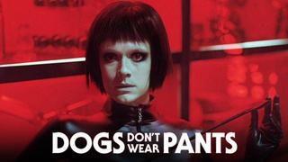 Dogs Don't Wear Pants