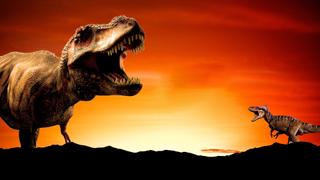 T-Rex Timeline T-Rex Timeline