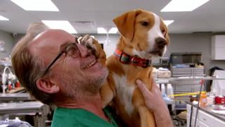 Dr. Jeff: Rocky Mountain Vet