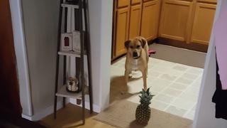 Forget You Forget You