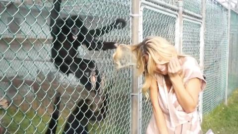 Celebrate Bad Times, Come On