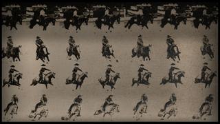 Million Dollar Rider