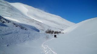 Iditarod 350