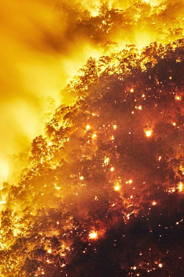 Life of Earth from Space