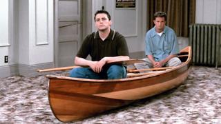 The One With the Cat