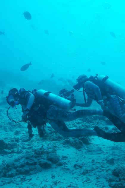 Extinct or Alive: The Lost Shark