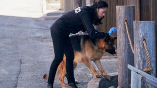 A Man of Consequence