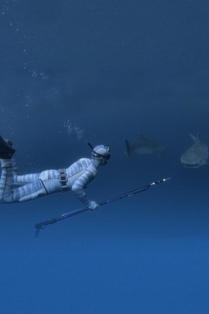 The Sharks of Headstone Hell