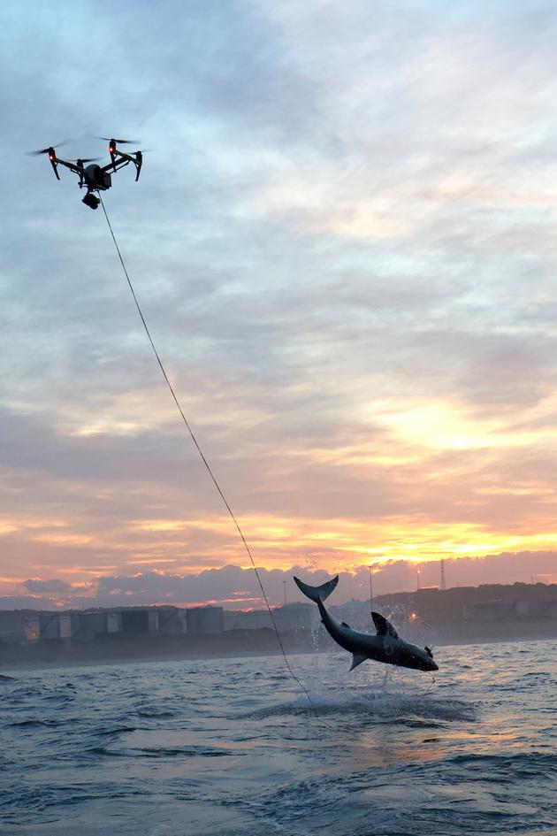 Air Jaws Strikes Back