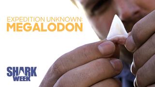 Expedition Unknown: Megalodon