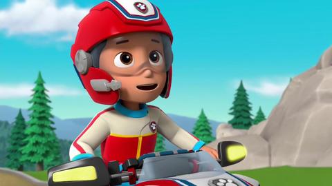 Pups Save a Manatee; Pups Save Breakfast