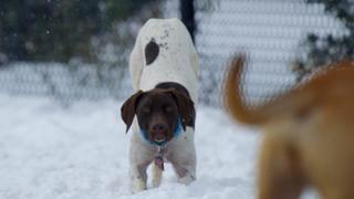 Playing Together Playing Together