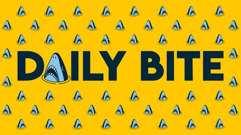 The Daily Bite