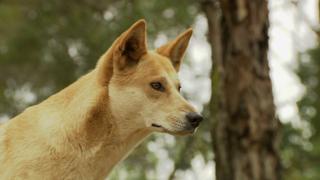 Queensland; Beijing; Bahamas