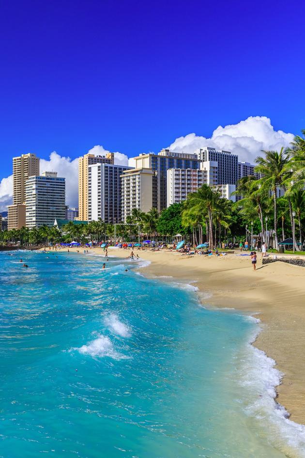 Hawaii Hunters