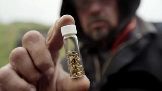 Bering Sea Gold