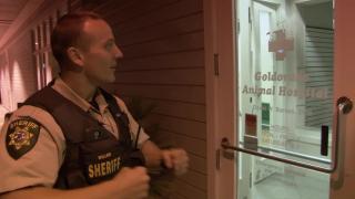 I Broke Into the Vet's Office to Get a Pack of Cigarettes I Broke Into the Vet's Office to Get a Pack of Cigarettes