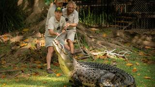 Bosco the Croc's Big Move Bosco the Croc's Big Move