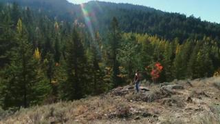 Alaskan Bush People
