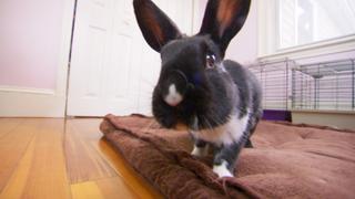 Fast Friends Fast Friends