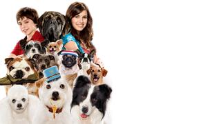 Hotel for Dogs