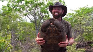 The Galapagos Giant The Galapagos Giant