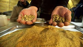 Bering Sea Gold