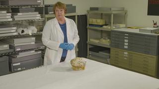 Mystery and Anger Mystery and Anger