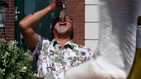 Oops!... I Did it Again