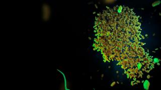 Hacking Our Microbiome Hacking Our Microbiome
