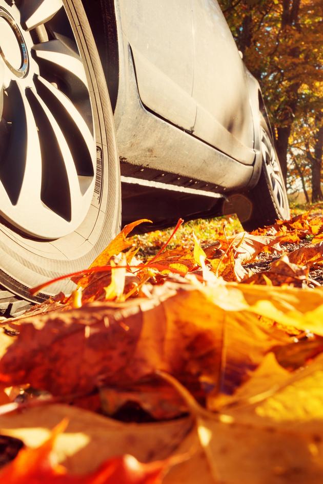 Mom's Last Thanksgiving