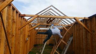 Fish Out of Water Fish Out of Water