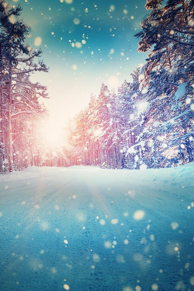 Lost Holiday: The Jim and Suzanne Shemwell Story