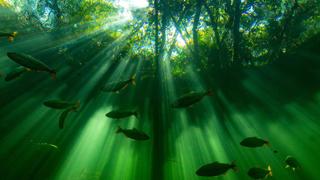 South America South America