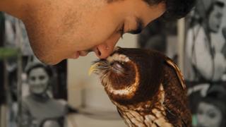 Who Let the Owls Out? Who Let the Owls Out?