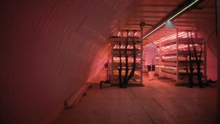 Underground Marvels