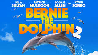 Bernie the Dolphin 2