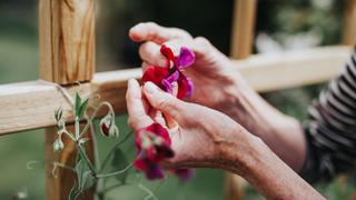 Rahim Mohammadi Rahim Mohammadi