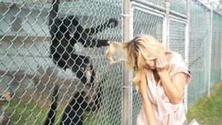 Head, Shoulders, Knees and Toes