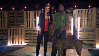 Raising the Woof Raising the Woof