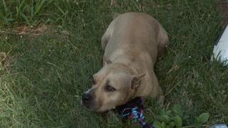 Bad Reputation Bad Reputation