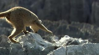 Madagascar