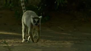 Land of Heat and Dust