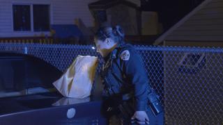 Call of the Wild Call of the Wild