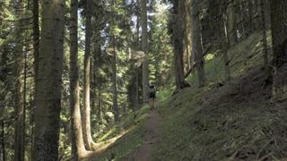 Paranormal Caught on Camera