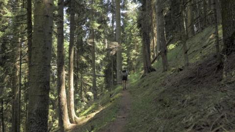 Arkansas Bigfoot Stalks a Father and Son and More